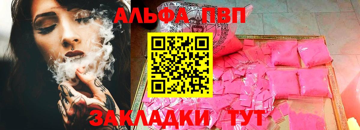 Альфа ПВП СК Чайковский