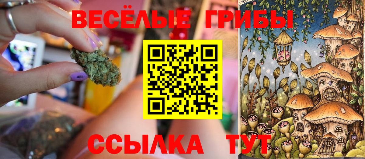 Галлюциногенные грибы GOLDEN TEACHER  Вход с VPN  Чайковский 