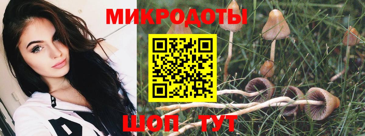 Псилоцибиновые грибы MAGIC MUSHROOMS Чайковский